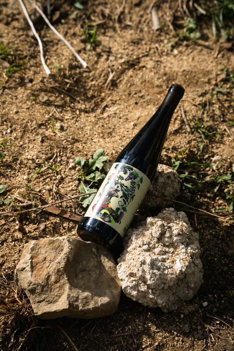 rinelli-vini-roma152